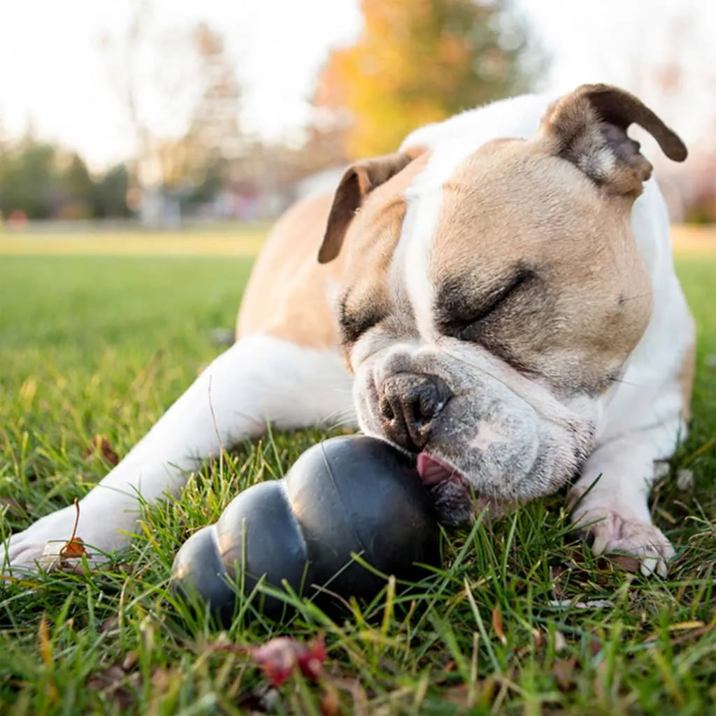 Kong Giocattolo per Cani Extreme Nero XXL