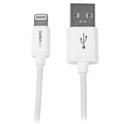 CAVO LIGHTNING 8PIN A USB 30CM