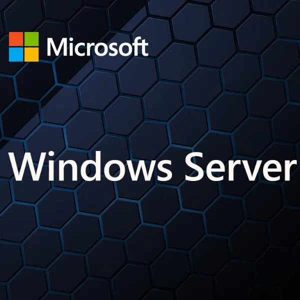 WINDOWS SERVER CAL 2025 IT 5U CAL