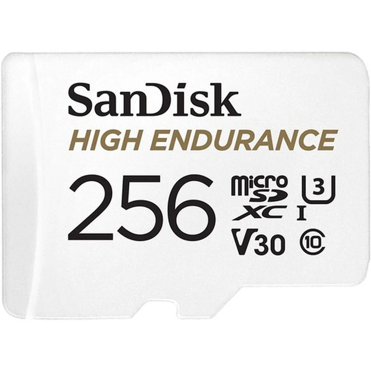 Scheda Micro SD SanDisk High Endurance 256 GB