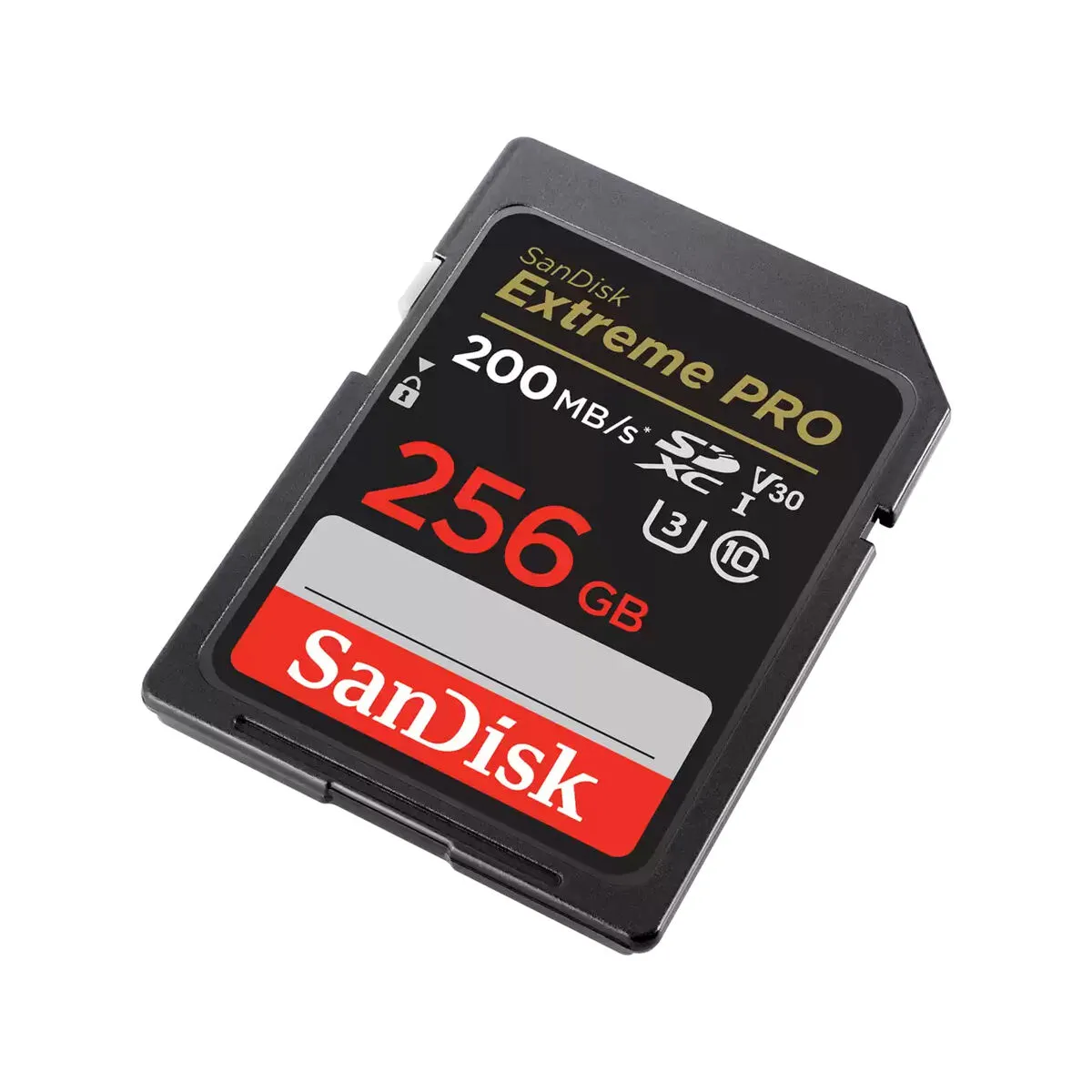 Scheda Di Memoria SDXC SanDisk Extreme PRO 256 GB