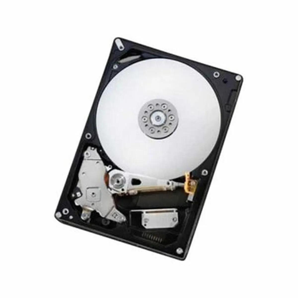 Hard Disk Western Digital 0S03941              6TB 7200 rpm 3,5"