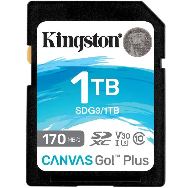 1TB SDXC CANVAS GO PLUS 170R