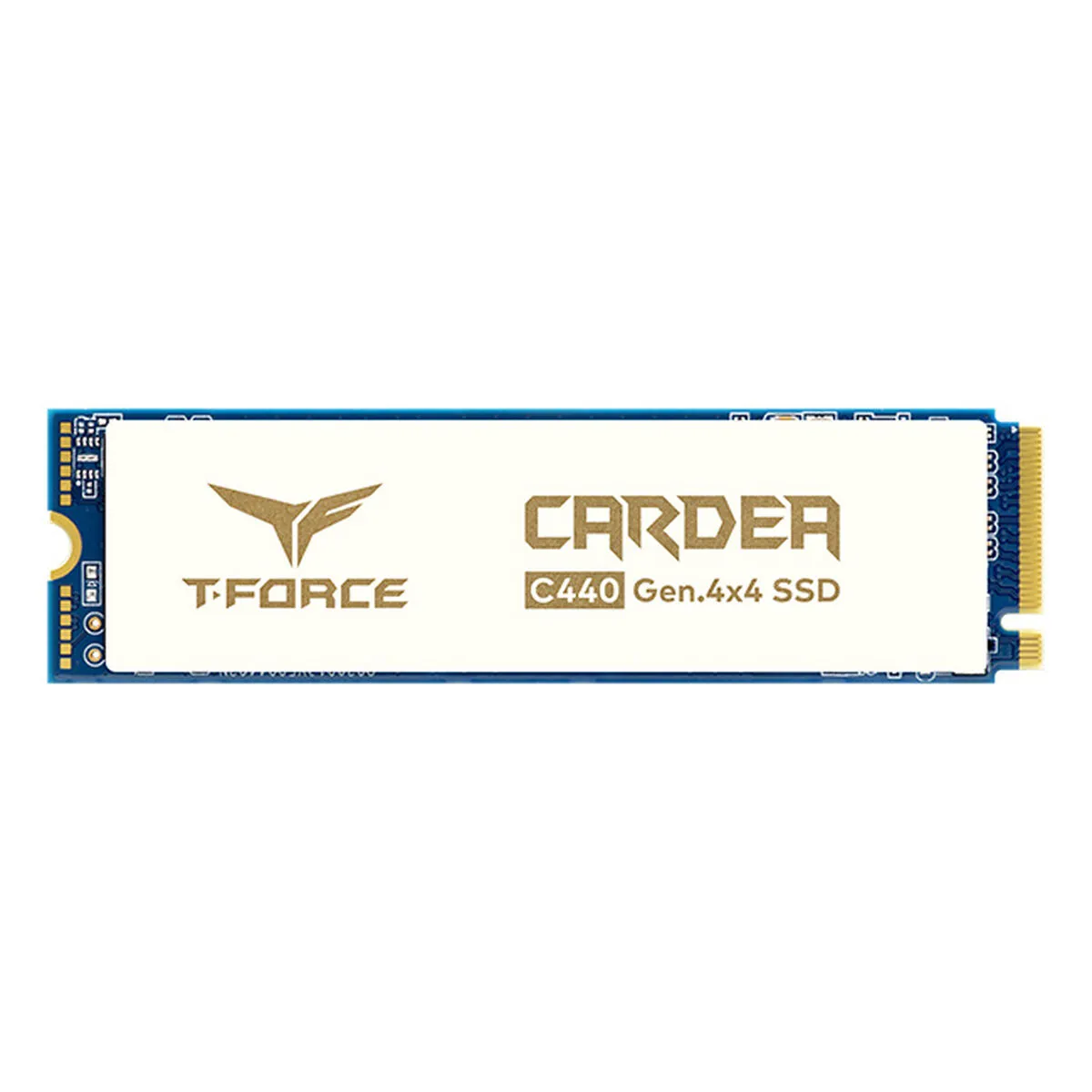 Hard Disk Team Group C440 Interno SSD 1 TB 1 TB SSD