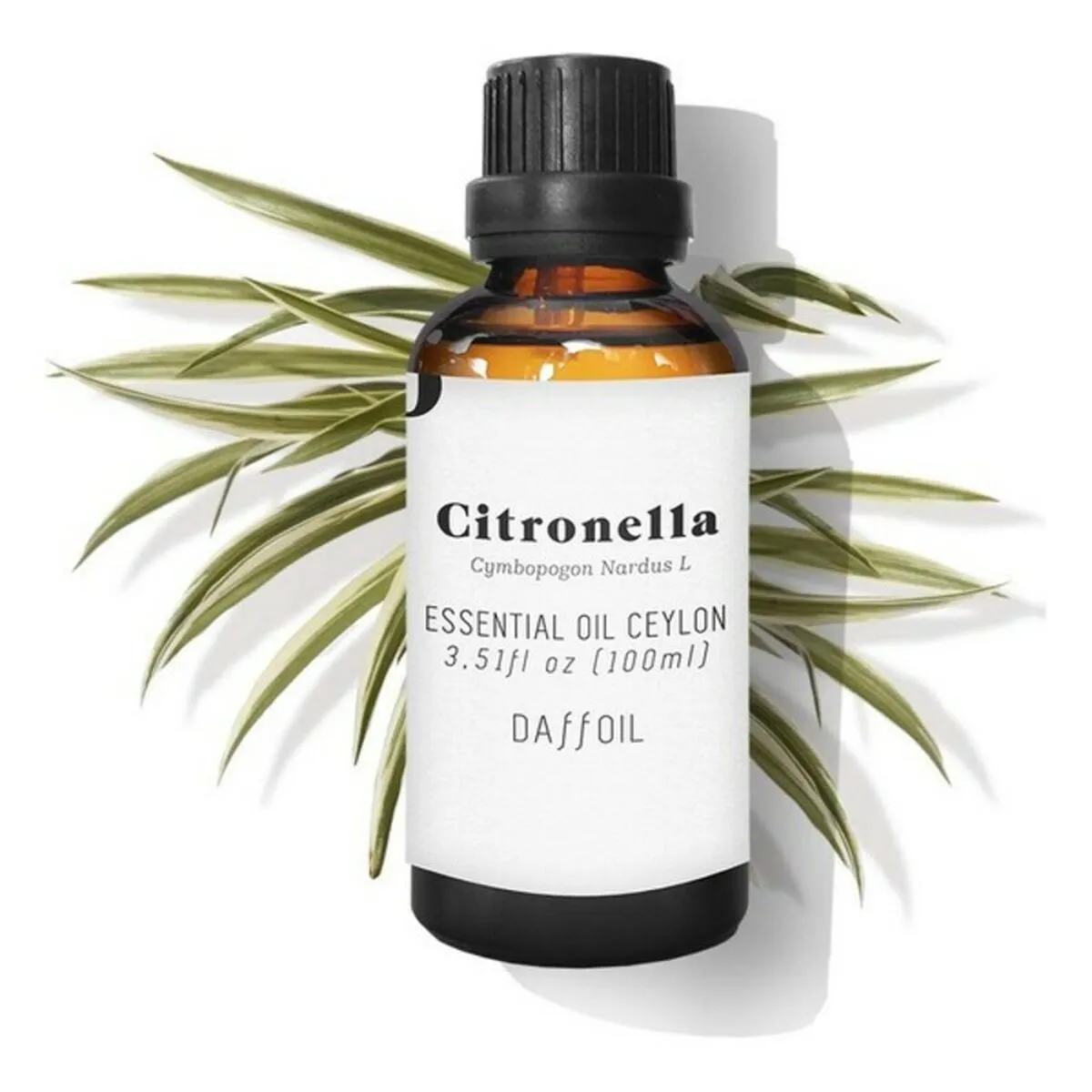 Olio Essenziale Citronella Daffoil DAFFOIL 100 ml