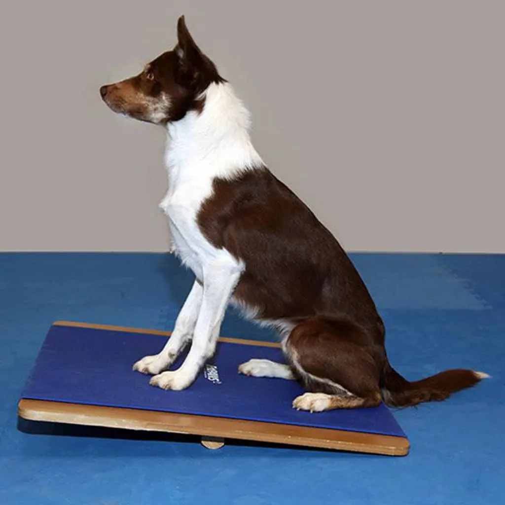 FitPAWS Tavola per l'Equilibrio Gigante 75x75 cm Blu