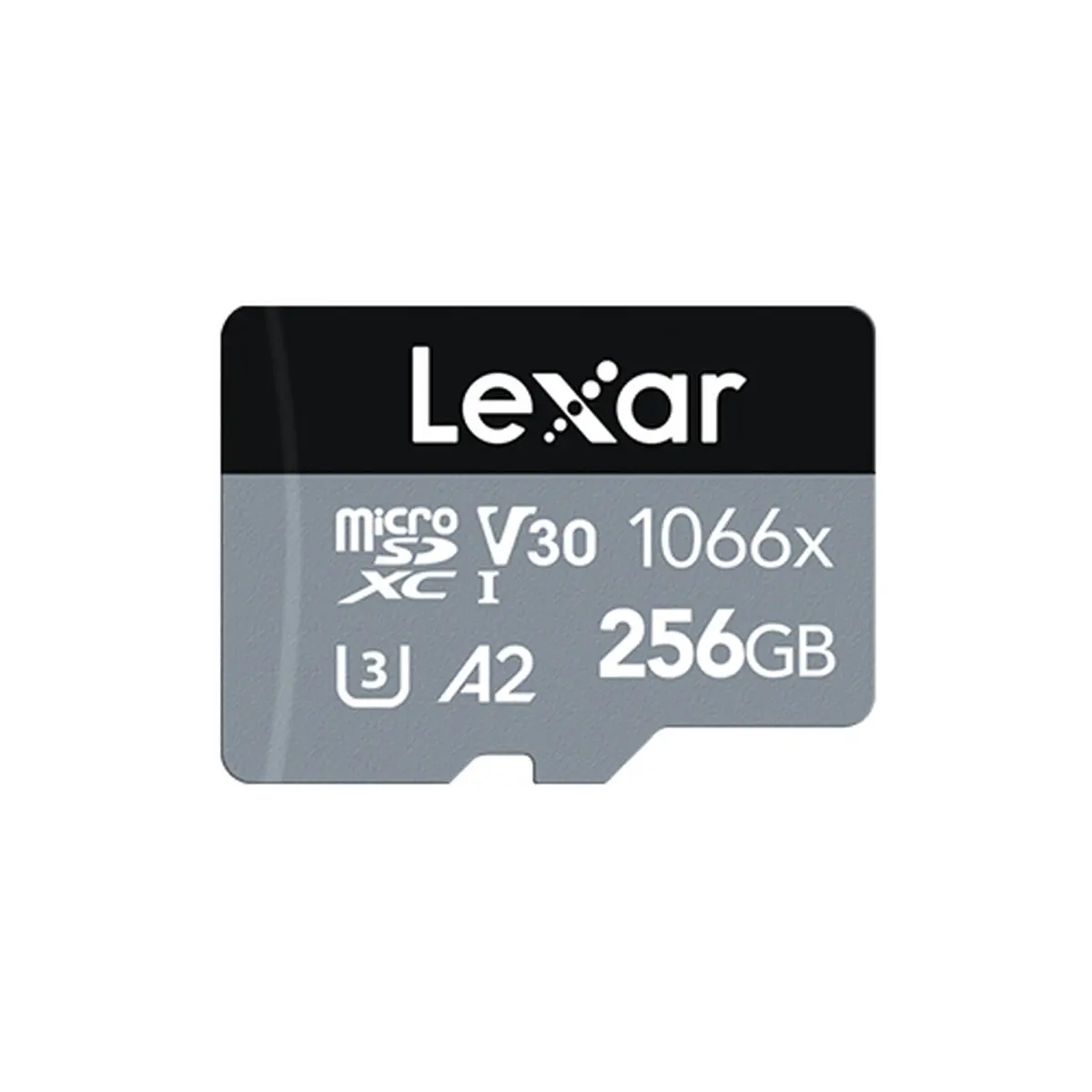 Scheda Micro SD Lexar LMS1066256G-BNANG 256 GB