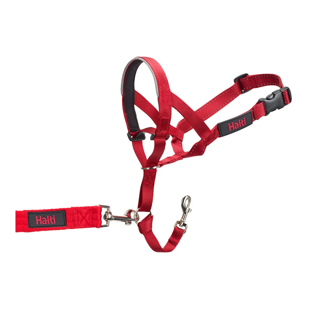 Collari da addestramento per cani Company of Animals Halti Museruola (46-62 cm)