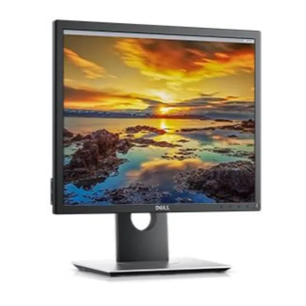 DELL 19 MONITOR - P1917S