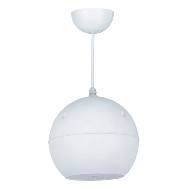 Altoparlante Diffusore Suono Pendente da Soffitto Cassa 10W Filodiffusione