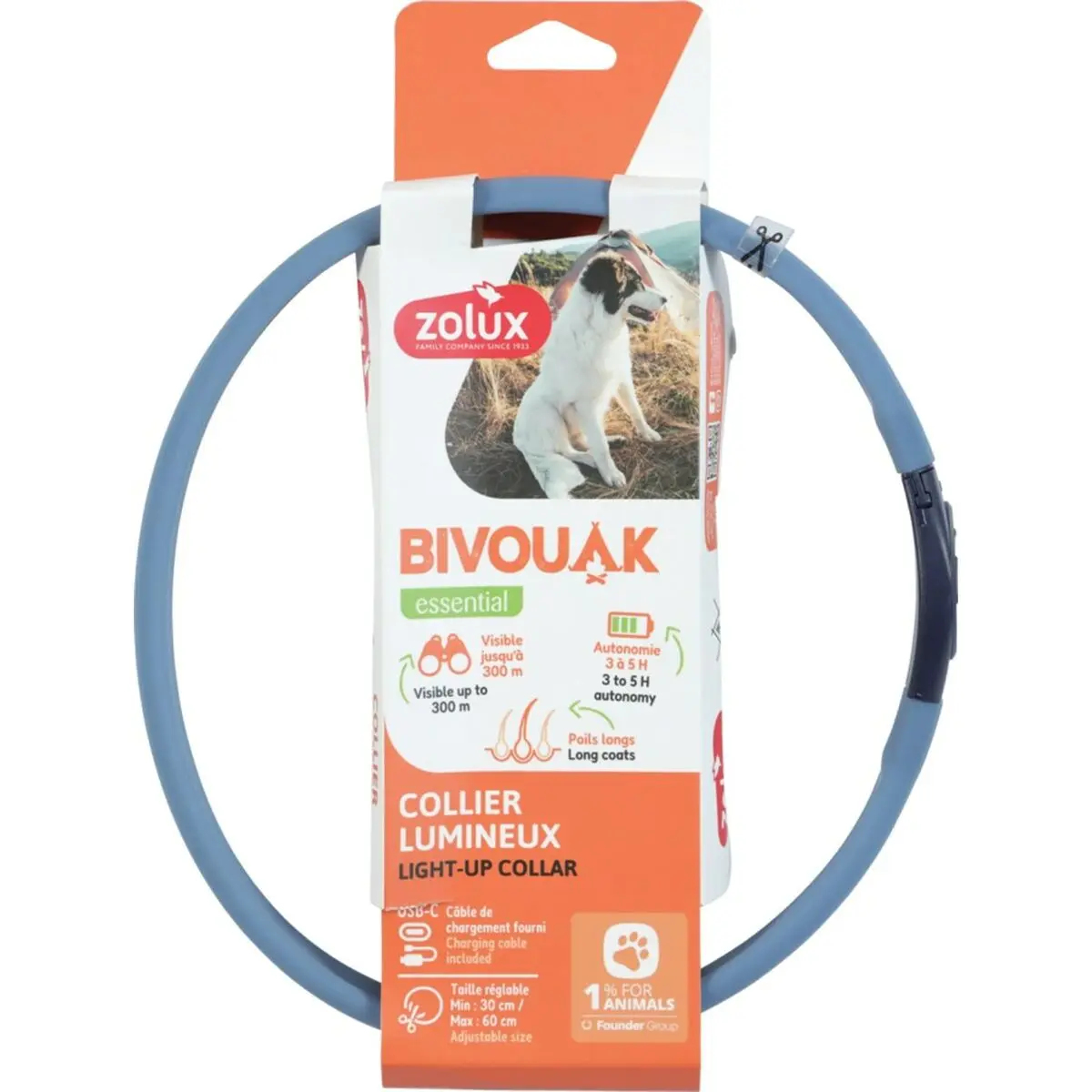 Collare per Cani Zolux BIVOUAK LED Azzurro 60 cm 30 cm