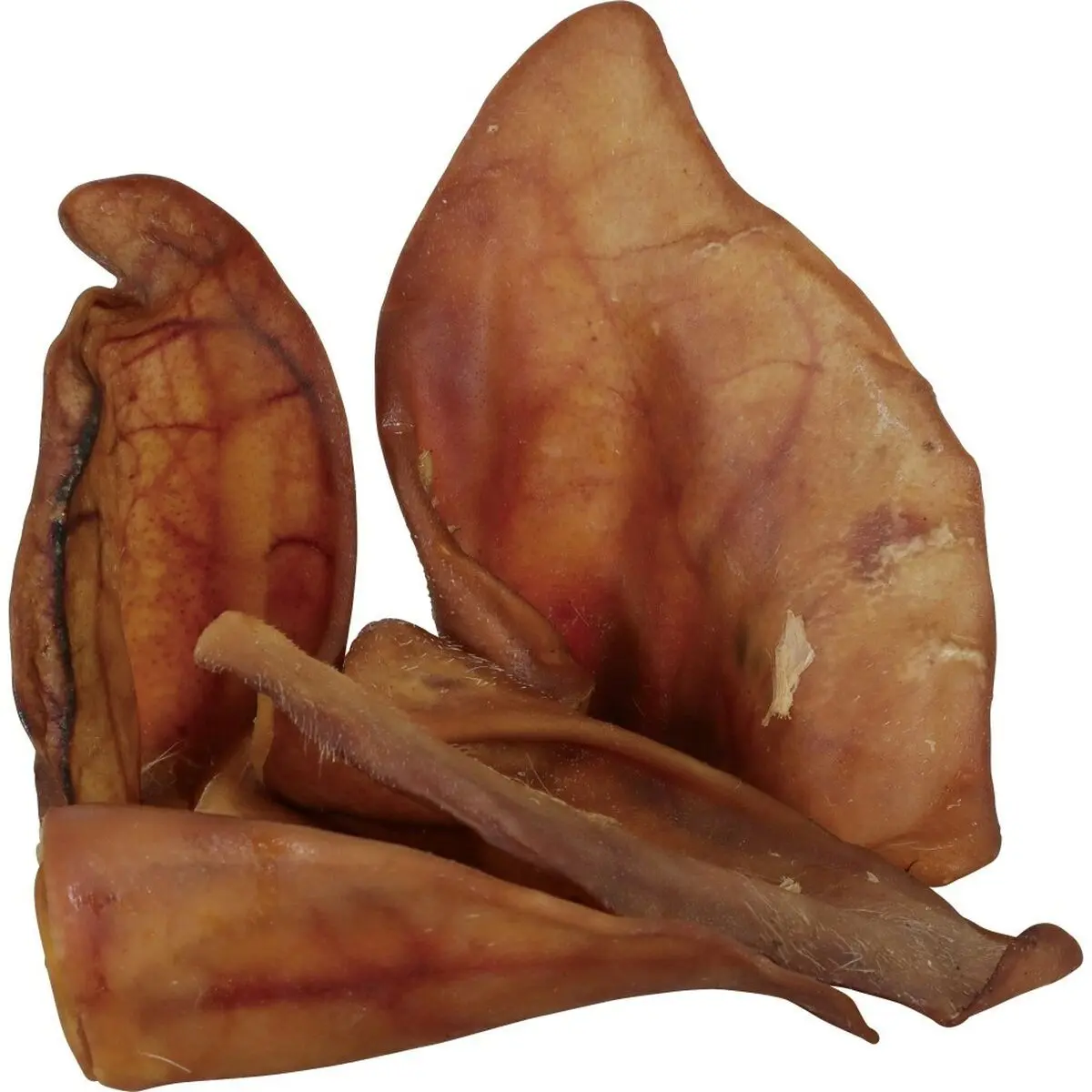 Giocattolo da mordere per cani Zolux Pork ear Maiale