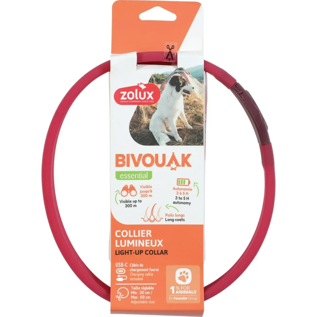 Collare per Cani Zolux BIVOUAK LED Rosso 60 cm 30 cm