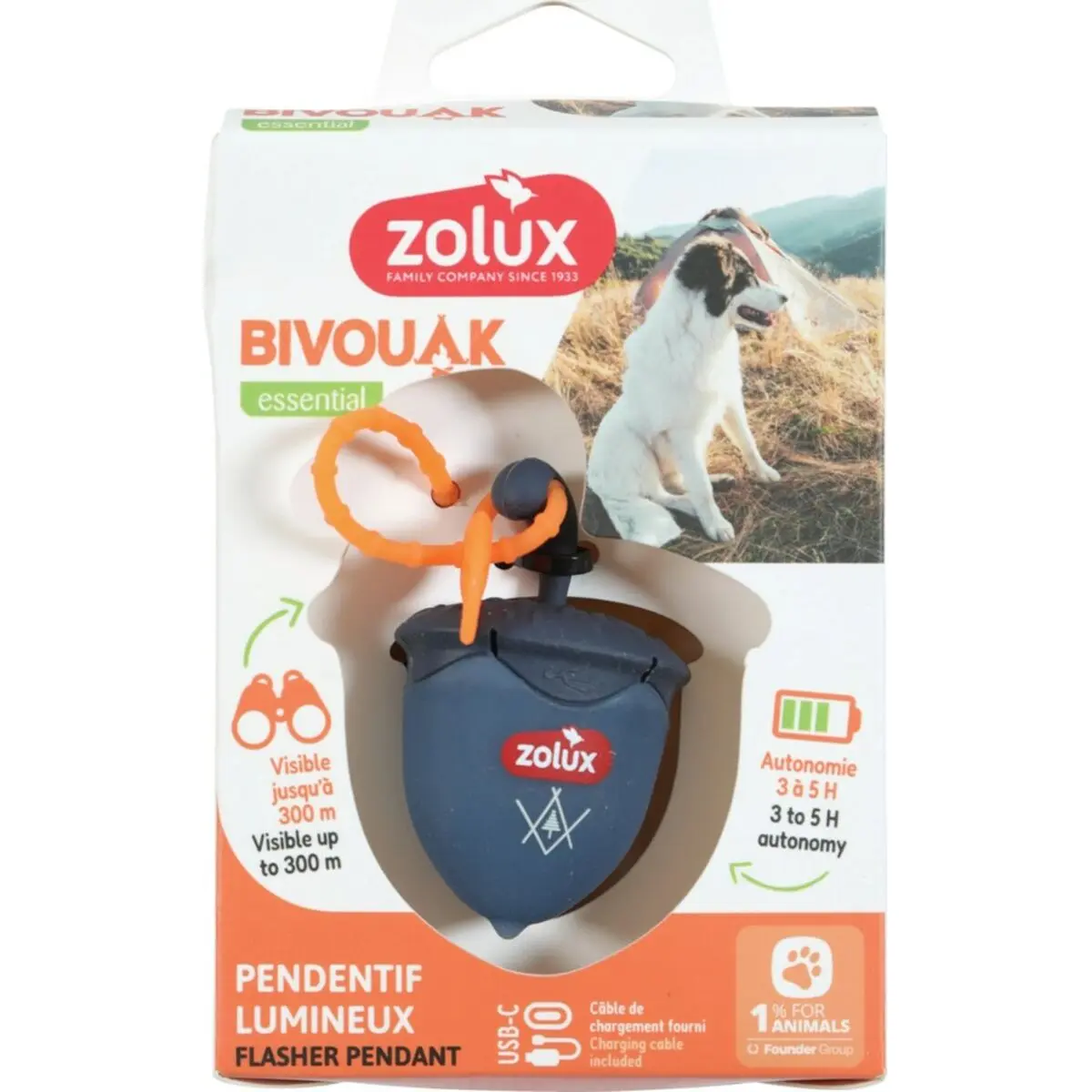 Collare per Cani Zolux BIVOUAK Azzurro