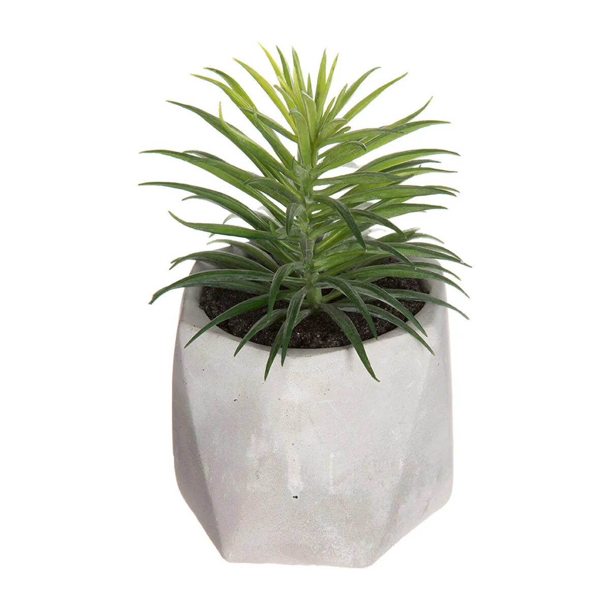 Pianta Decorativa Atmosphera 7 x 14 cm Verde PVC