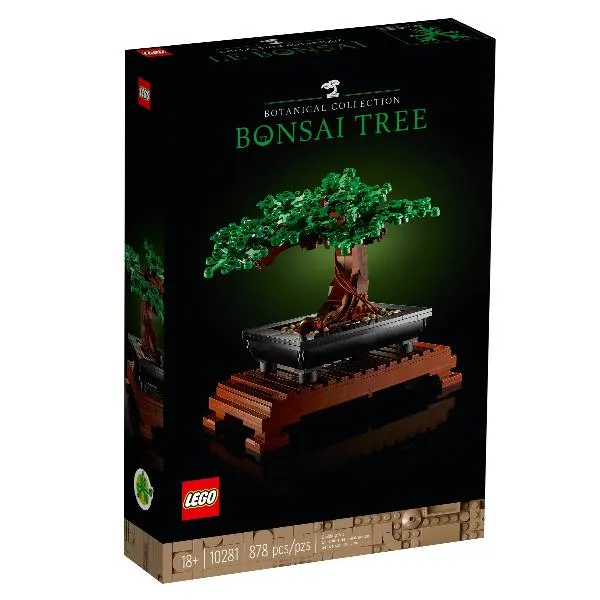 ALBERO BONSAI