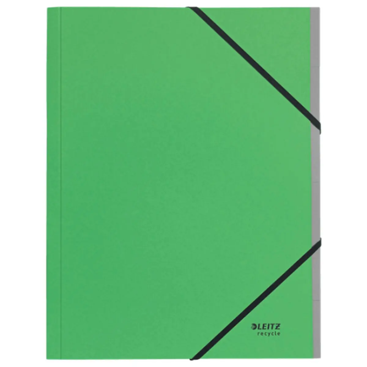 Fascicolo Leitz 39140055 Verde A4