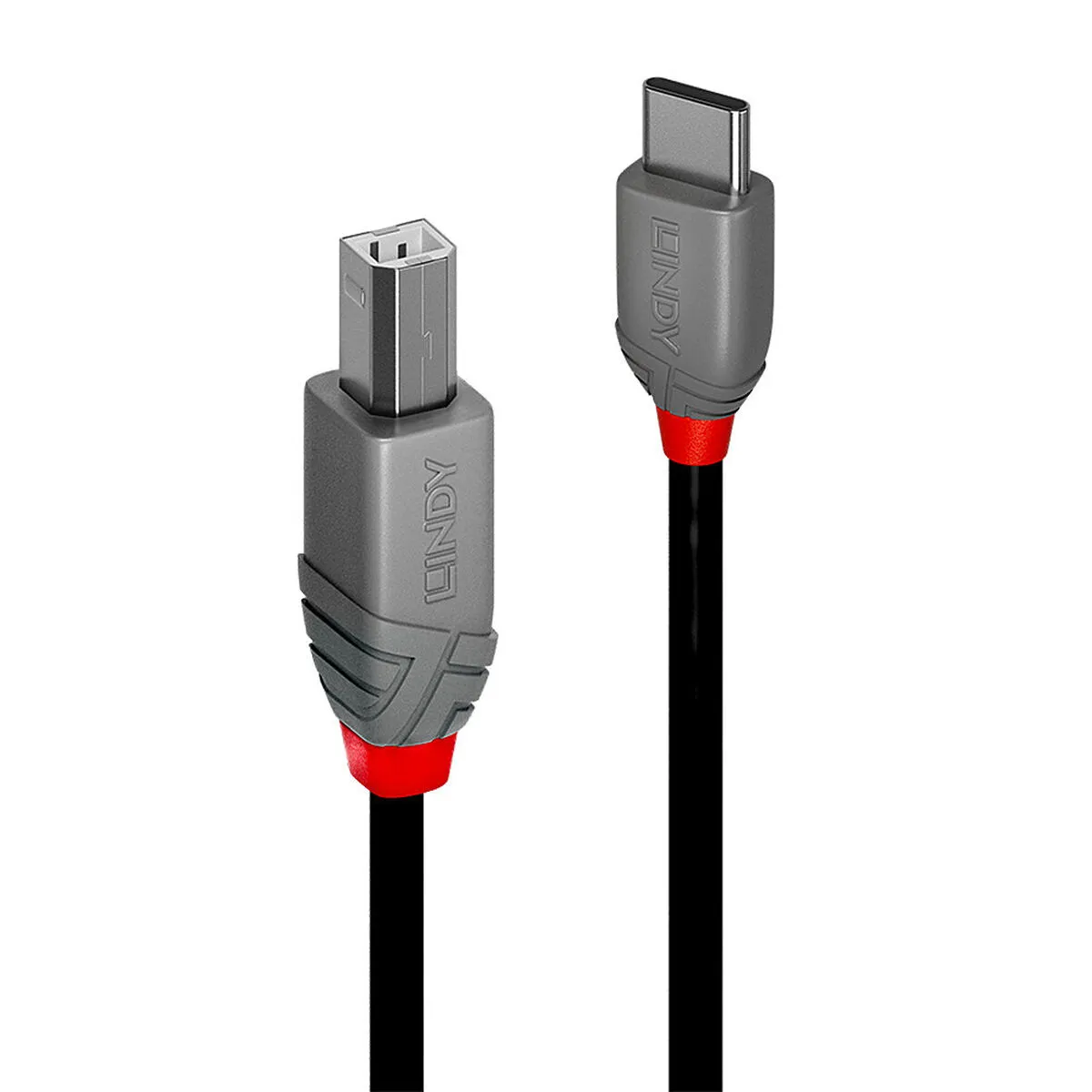 Cavo USB C con USB B LINDY 36942 Nero 2 m