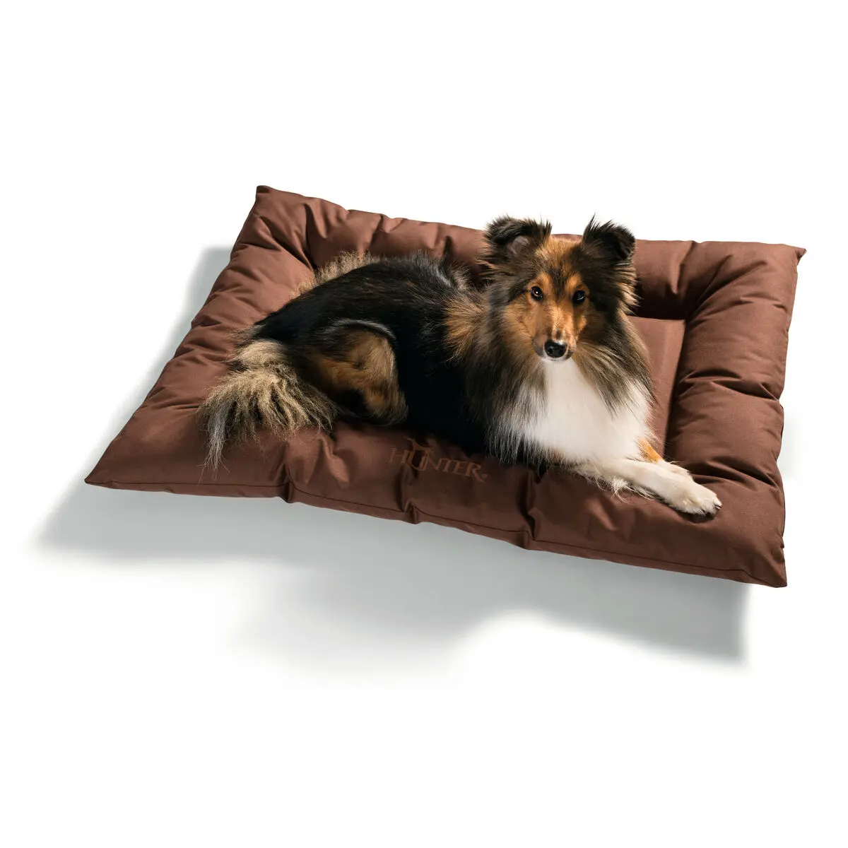 Letto per Cani Hunter Gent Antibatterico Marrone 100x70 cm