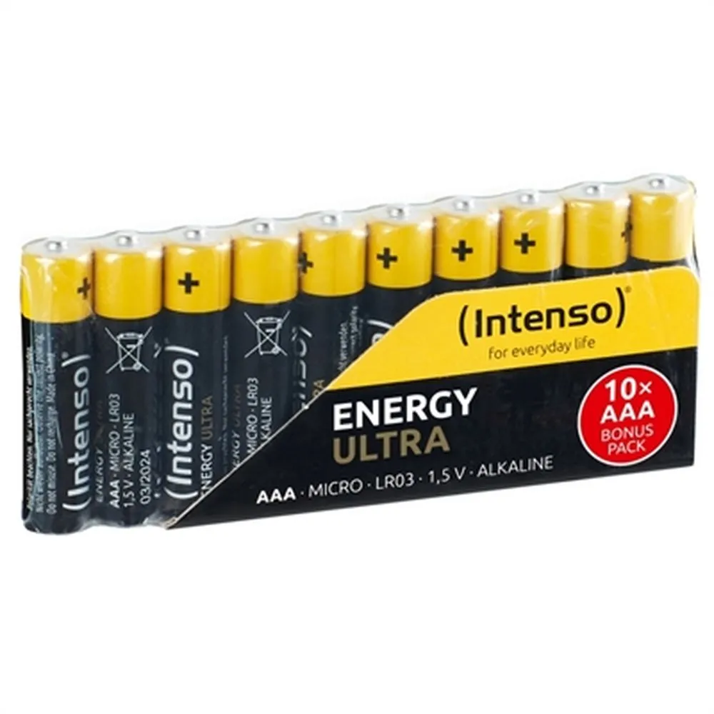 Batterie INTENSO 7501910