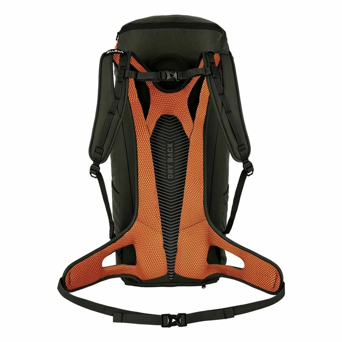 Zaino da montagna Salewa Alp Mate 26 L Oliva