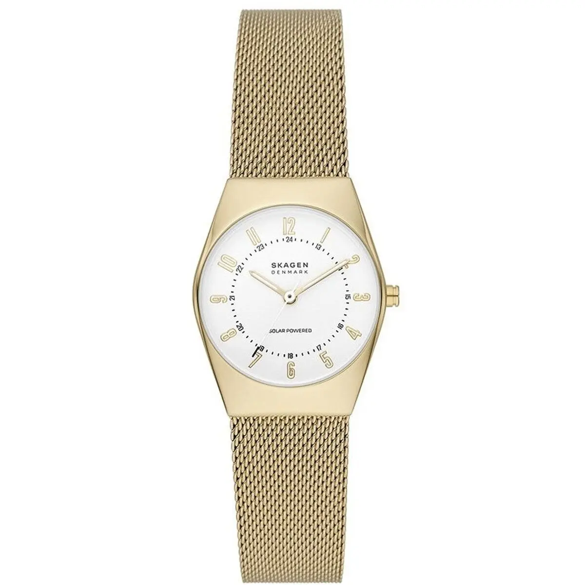 Orologio Donna Skagen GRENEN LILLE SOLAR (Ø 26 mm)