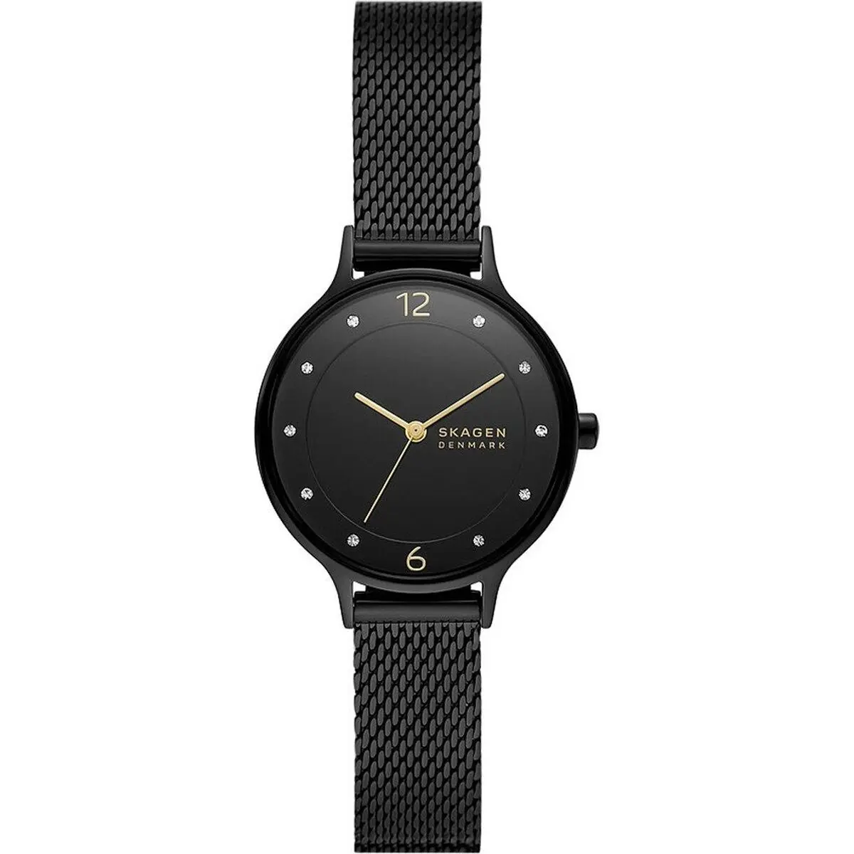 Orologio Donna Skagen ANITA LILLE (Ø 30 mm)