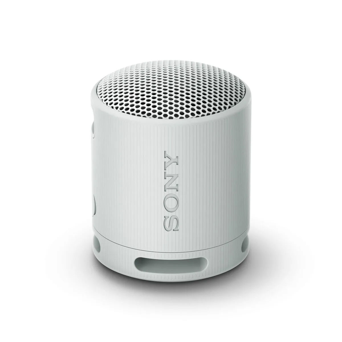 Altoparlante Bluetooth Portatile Sony SRS-XB100 Grigio