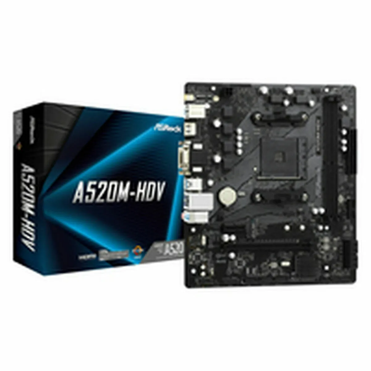 Scheda Madre ASRock A520M-HDV