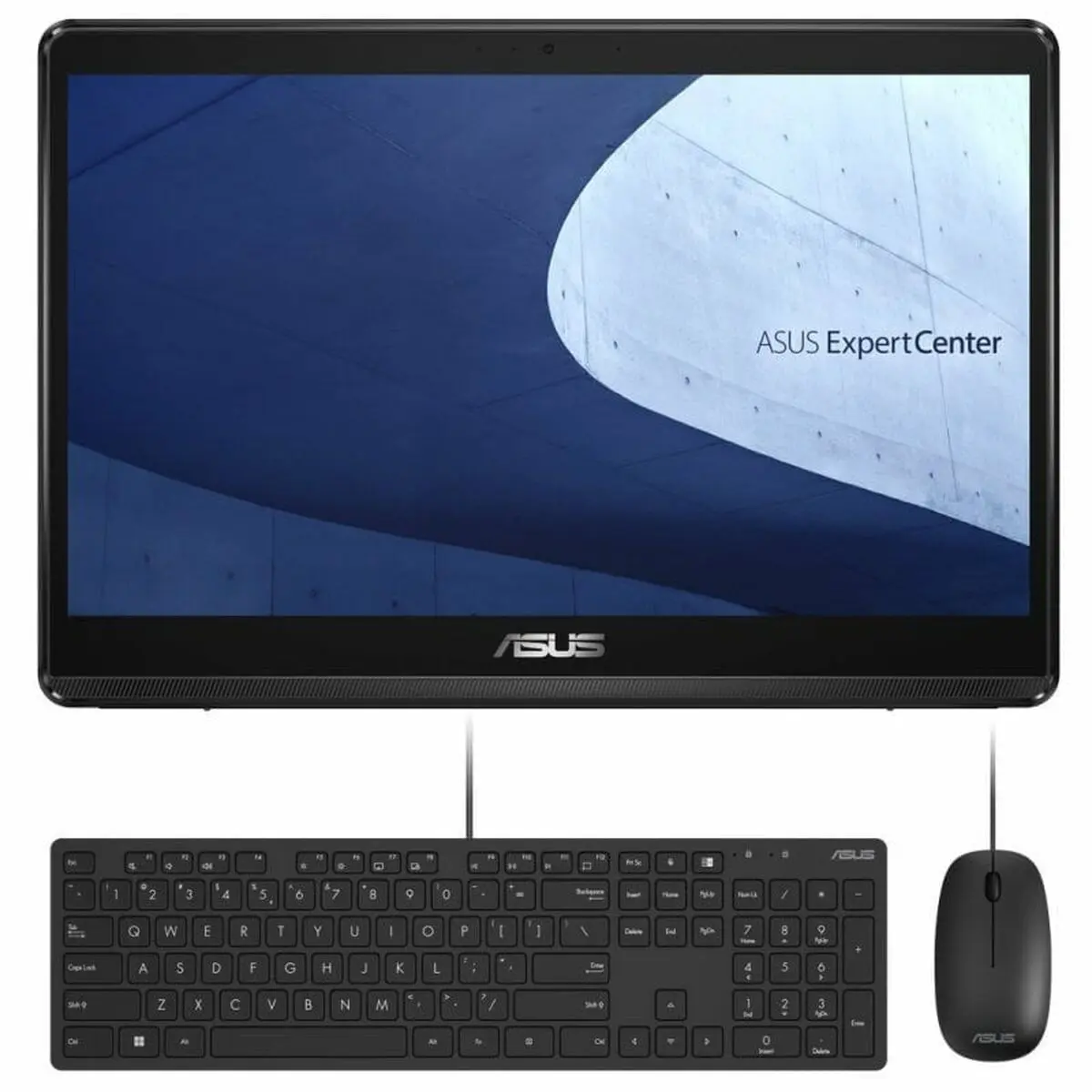 All in One Asus ExpertCenter E1600WKAT-BA002W 15,6" Intel Celeron N4500 8 GB RAM 256 GB SSD Qwerty in Spagnolo