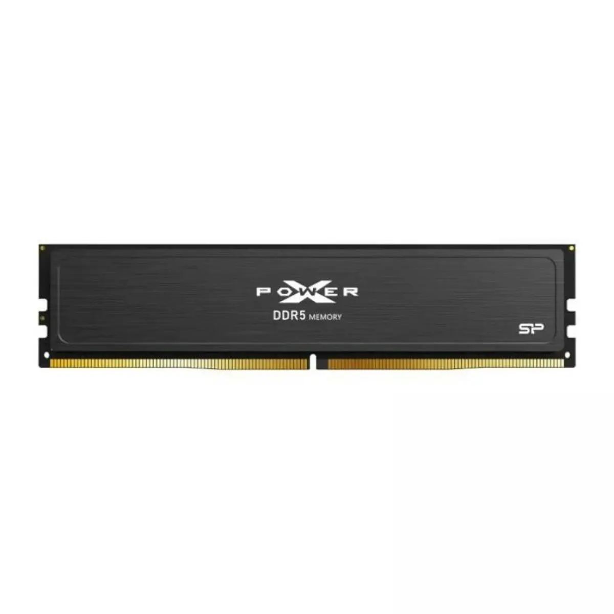 Memoria RAM Silicon Power SP016GXLWU60AFSJ