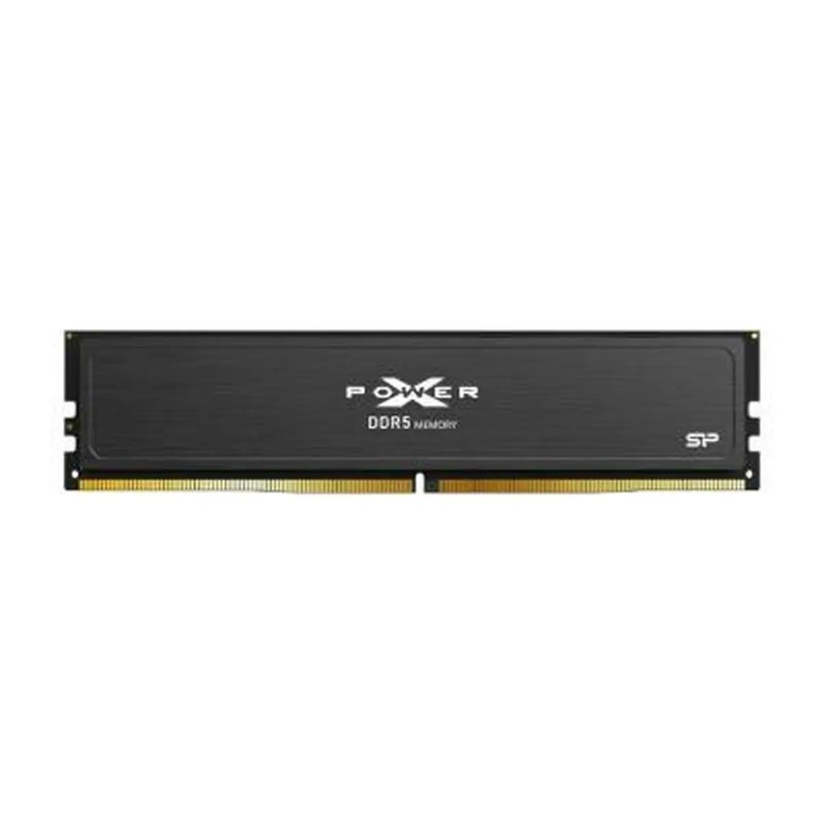 Memoria RAM Silicon Power SP032GXLWU60AFSJ