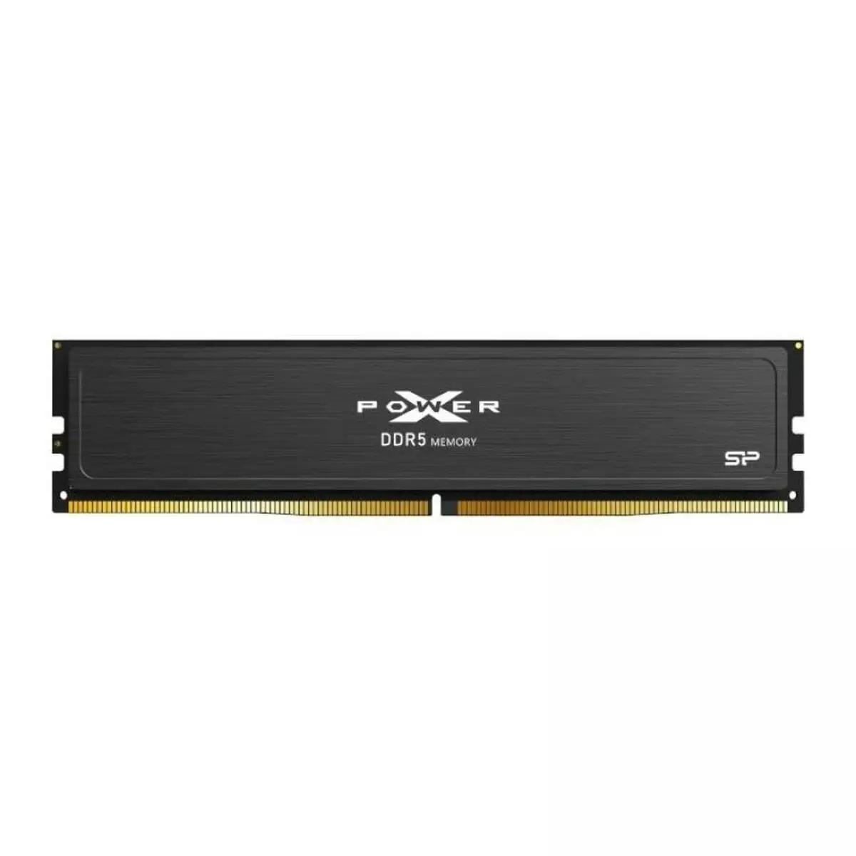 Memoria RAM Silicon Power SP016GXLWU64AFSJ