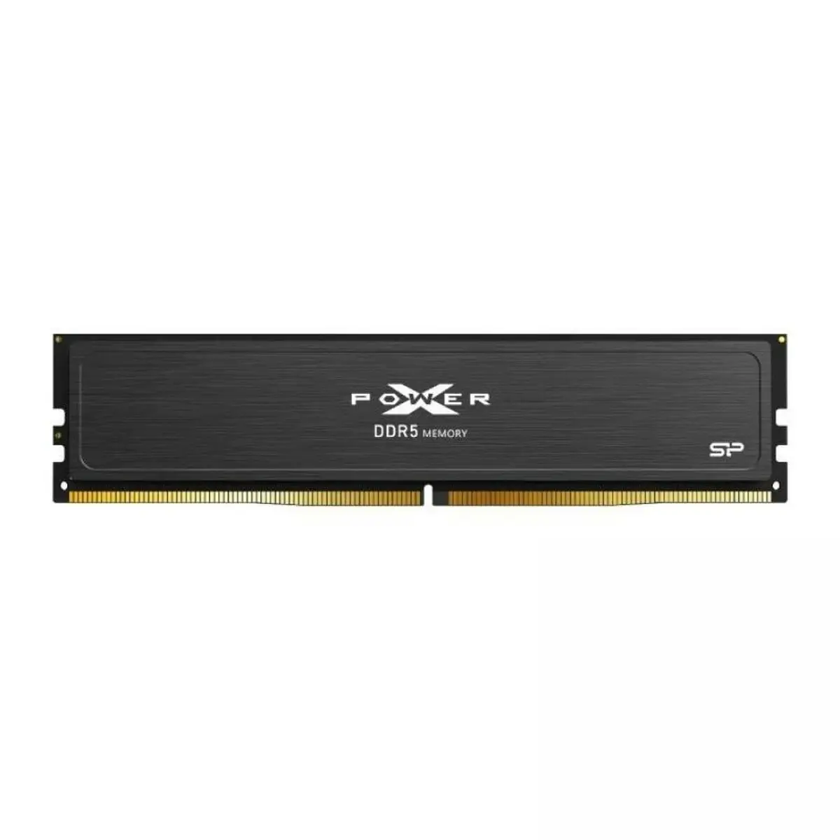 Memoria RAM Silicon Power SP032GXLWU60AFDJ