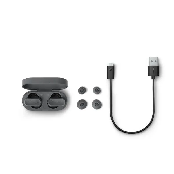 AURICOLARI TRUE WIRELESS+ANC(GREY)