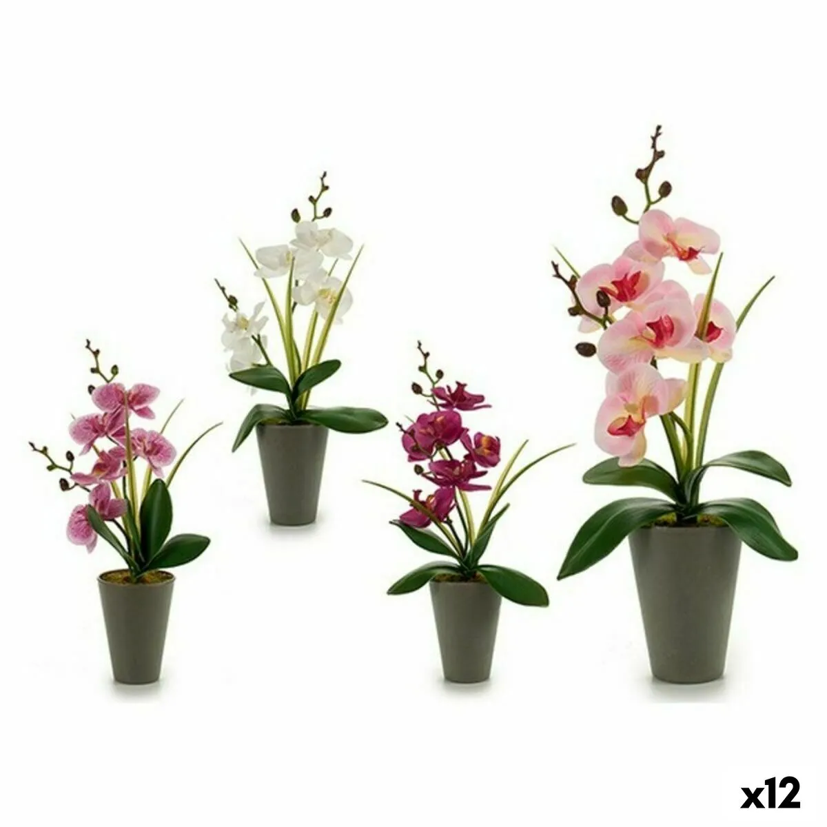 Pianta Decorativa Orchidea Plastica 8 x 35 x 14 cm (12 Unità)