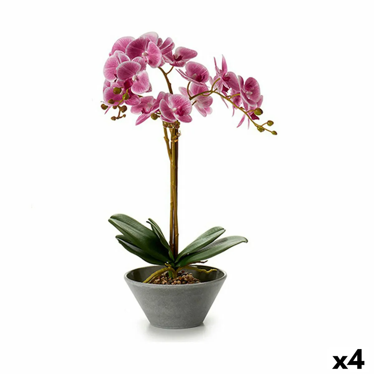 Pianta Decorativa Orchidea 16 x 48 x 28 cm Plastica (4 Unità)