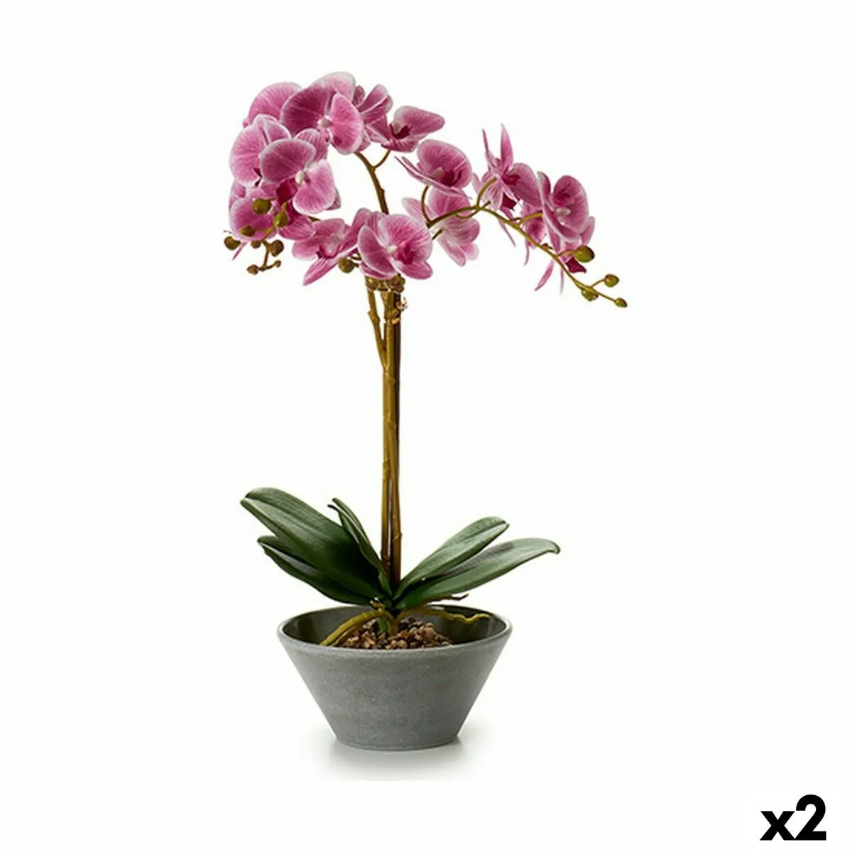 Pianta Decorativa Orchidea 20 x 60 x 28 cm (2 Unità)