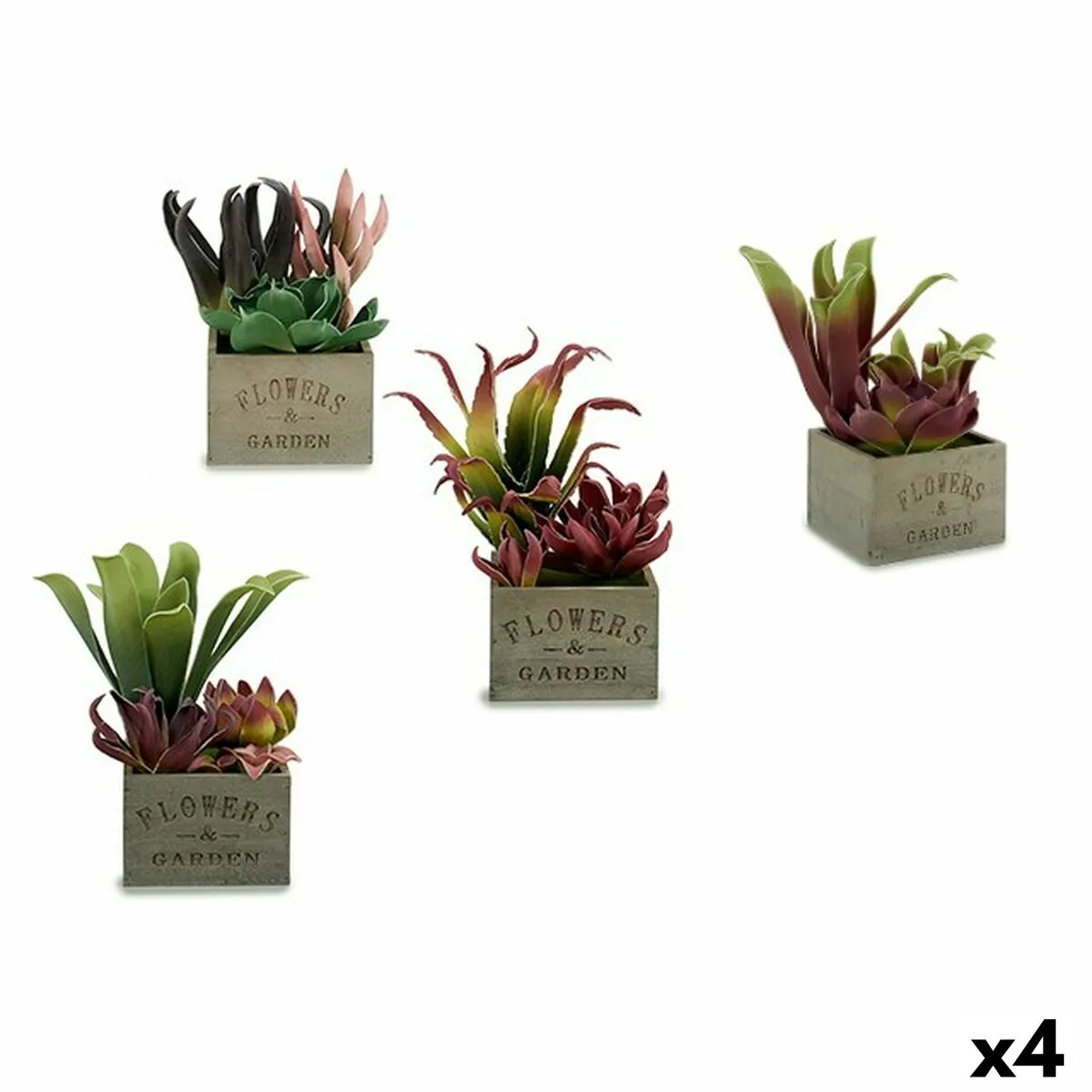 Pianta Decorativa Succulenta Bicolore Plastica 15 x 28 x 15 cm (4 Unità)