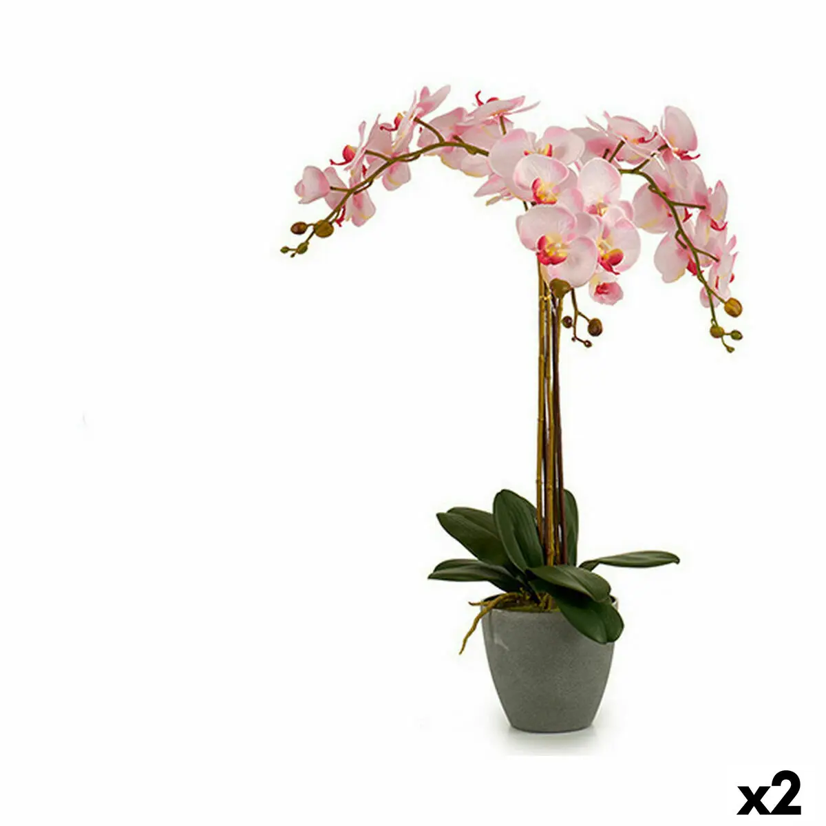 Pianta Decorativa Orchidea Plastica 29 x 78 x 35 cm (2 Unità)