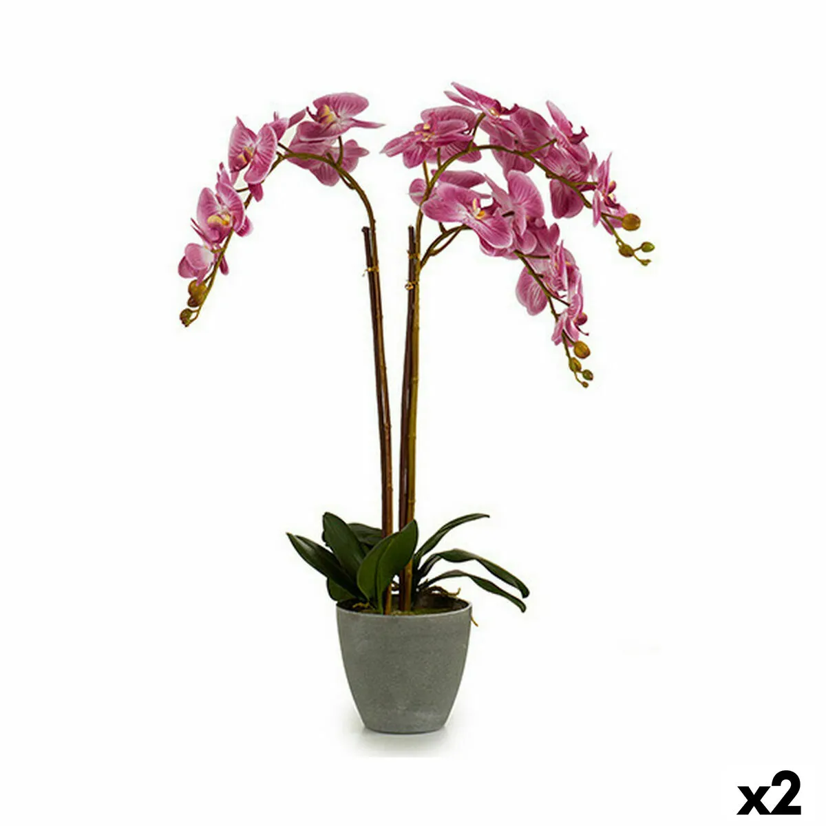 Pianta Decorativa Orchidea Plastica 33 x 77 x 33 cm (2 Unità)