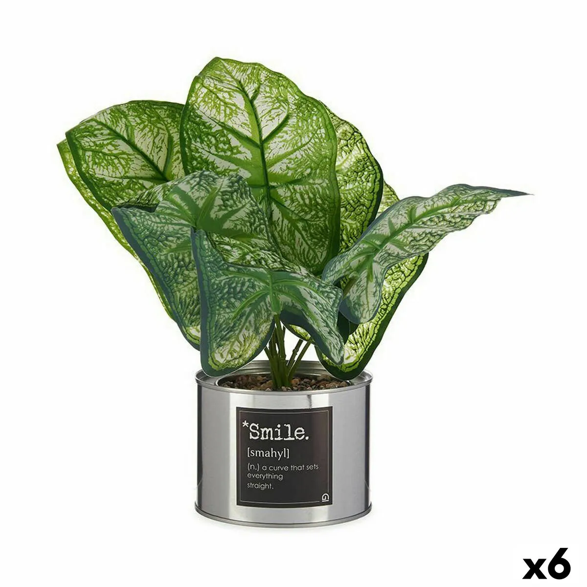 Pianta Decorativa Caladium Metallo Plastica 26 x 26 x 26 cm (6 Unità)