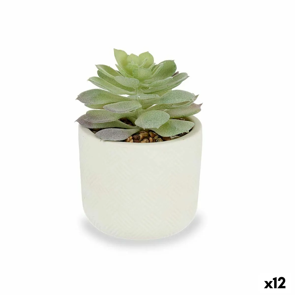 Pianta Decorativa Succulenta Plastica 14 x 13,5 x 14 cm (12 Unità)