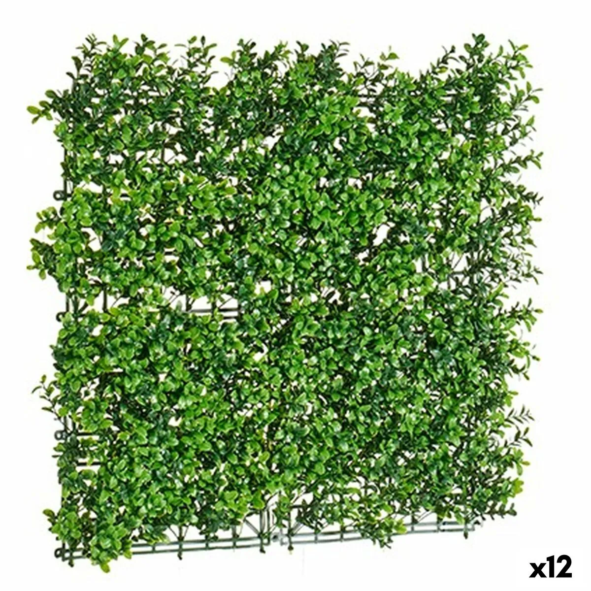 Kit per Giardino Verticale 50 x 5 x 50 cm (12 Unità)