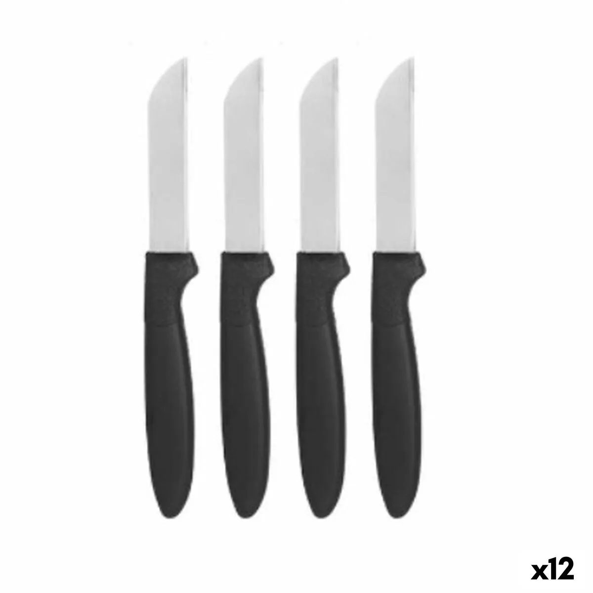 Set di Coltelli per Pelare Nero Argentato Acciaio inossidabile Plastica 17,2 cm (12 Unità)