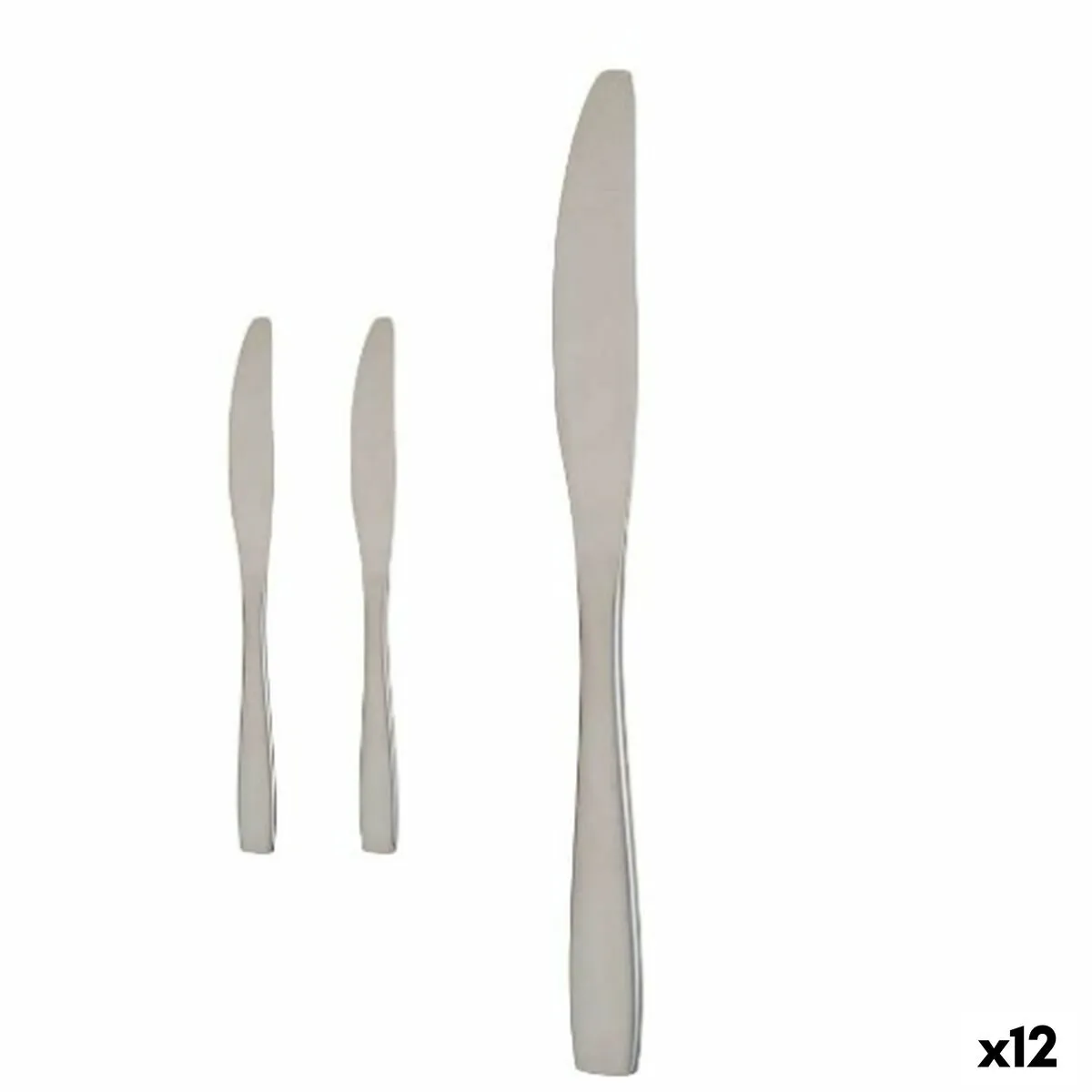 Set di Coltelli 55,5 x 2 x 0,5 cm Argentato Acciaio inossidabile (12 Unità)