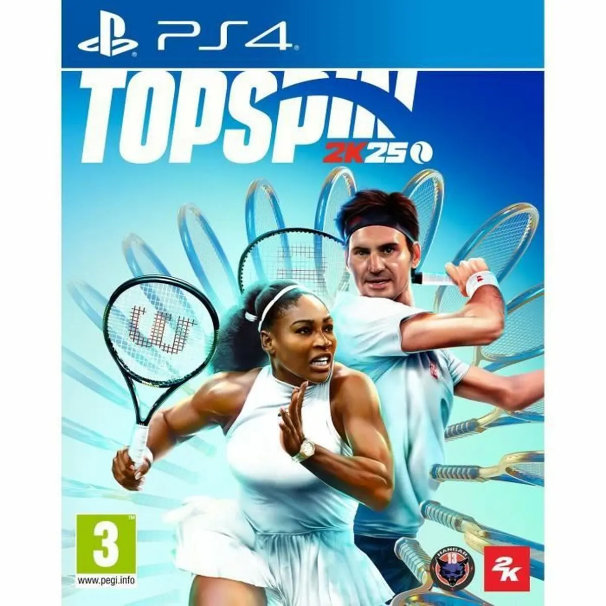 Videogioco PlayStation 4 2K GAMES Top Spin 2K25 (FR)