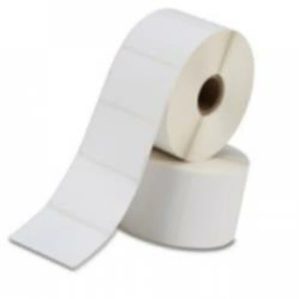 Rotolo di Etichette Zebra 880134-050 102 x 51 mm Bianco