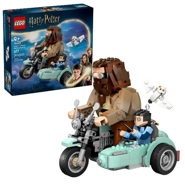 GIRO SUL SIDECAR DI HAGRID  E HARRY