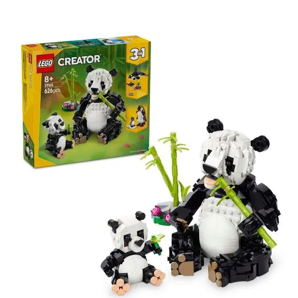 FAMIGLIE DI ANIMALI: PANDA